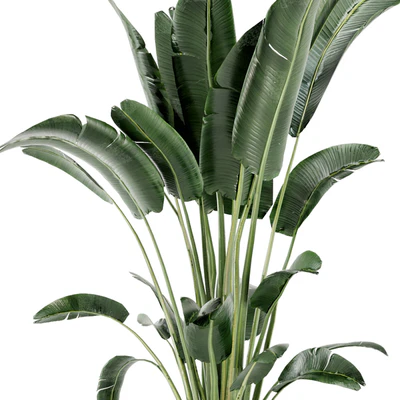 Indoor Plants in rusty Concrete Pot - Set 124 — View 2
