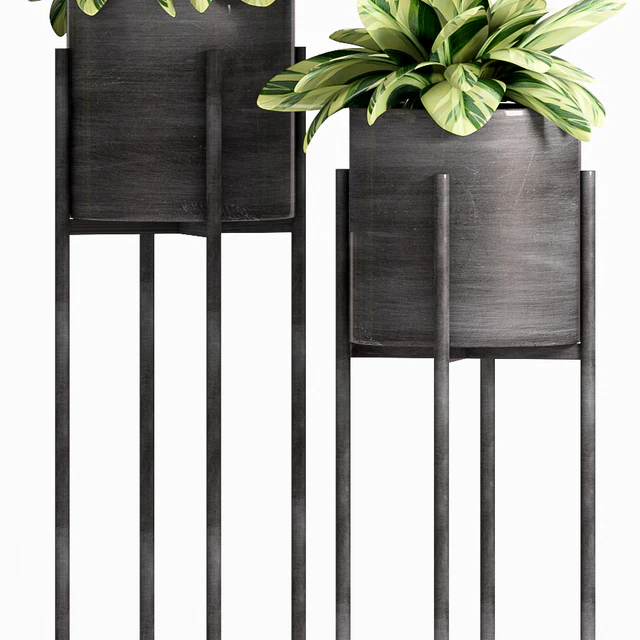 PLANT -21 — Скачать