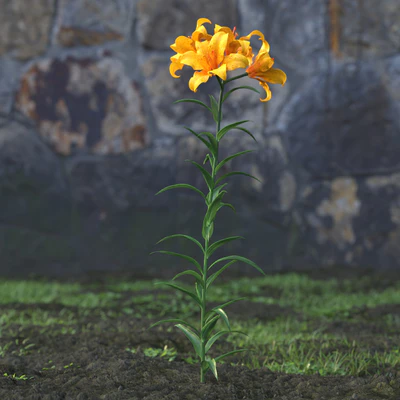 garden flowers 033 — Скачать