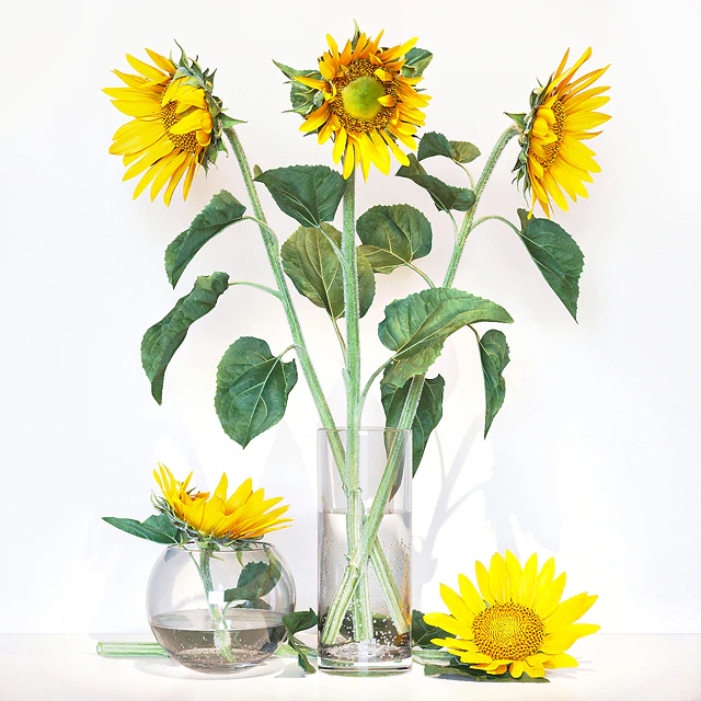 Sunflower2 — Скачать
