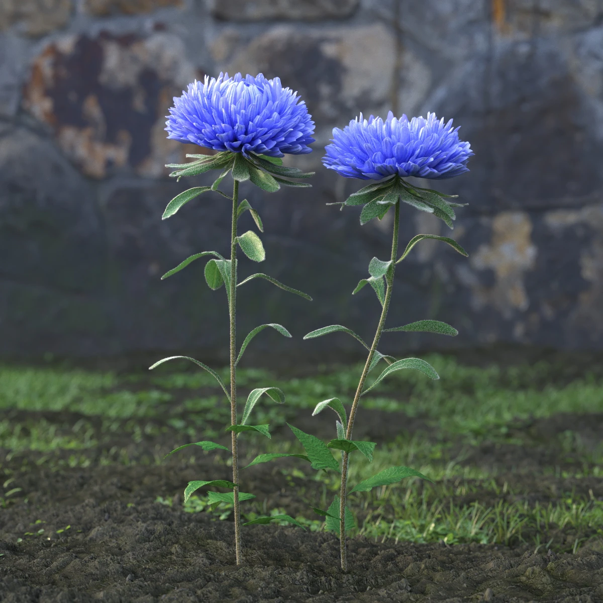 garden flowers 003 — Скачать