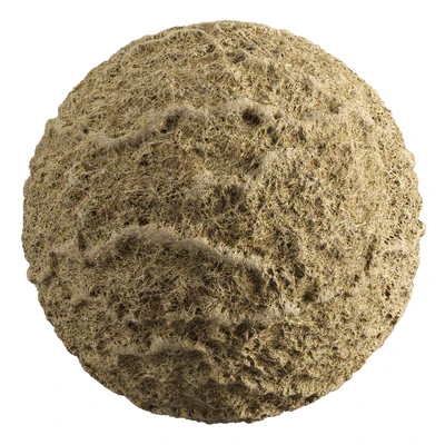 Grass-008 — Вид 1