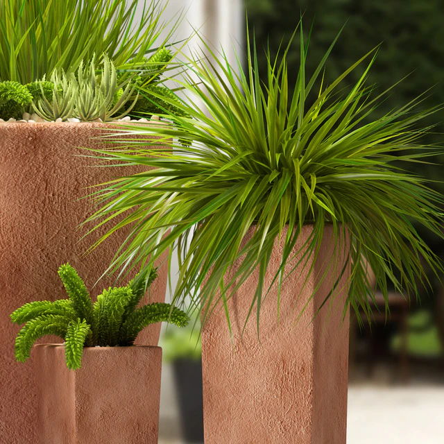 plants — Descargar