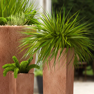 plants — Ver 3