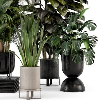 Indoor Plants in Ferm Living Bau Pot Large - Set 572 — Вид 5
