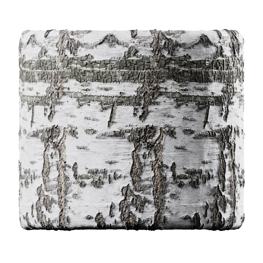 birch 003 — Descargar