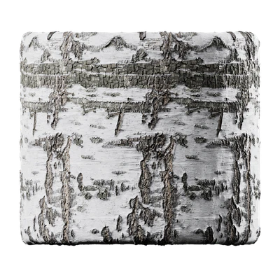 birch 003 — Descargar