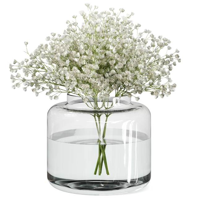 Bouquet Set 08 Gypsophila with IKEA Konstfull vase — Скачать