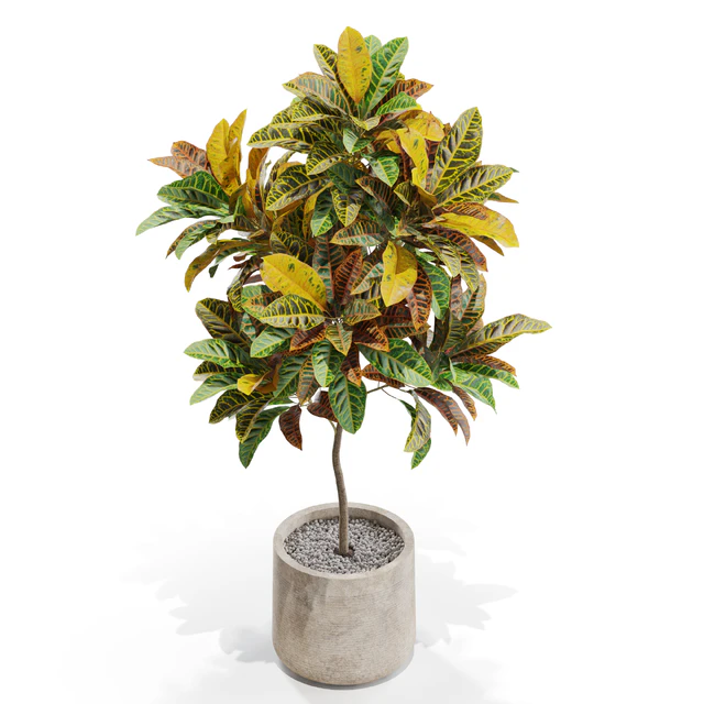 Plants collection 558 — Descargar