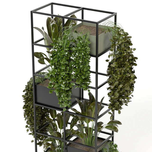 indoor plants in rusty concrete pot on metal shelf - Set 122 — Descargar