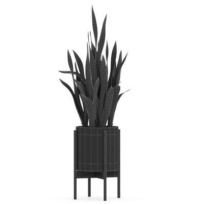 Plants collection 505 — Вид 4