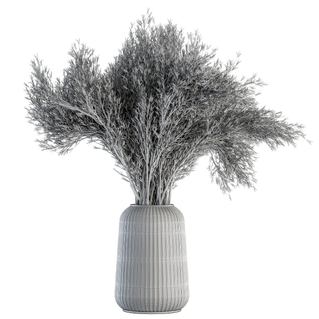 Dry plants 67 - Dried Lavender — Descargar