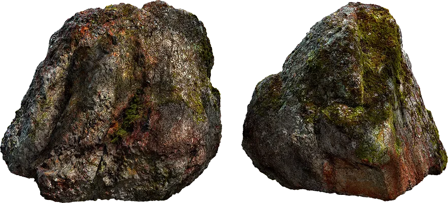 lichen rock 004 — Скачать