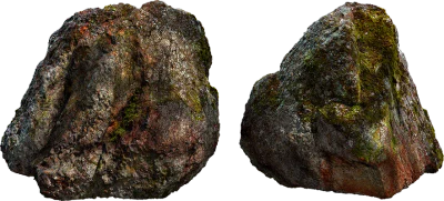 lichen rock 004 — Скачать