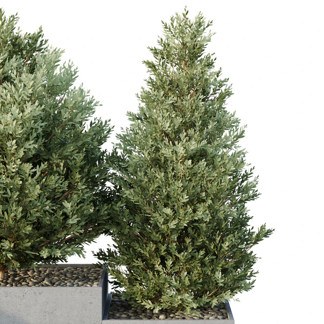 HQ Tree and bush garden box outdoor VOL 27 — Descargar