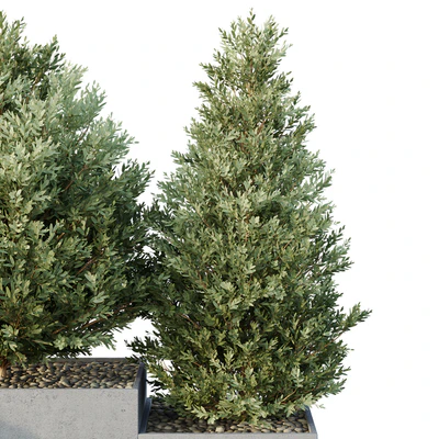 HQ Tree and bush garden box outdoor VOL 27 — Ver 4