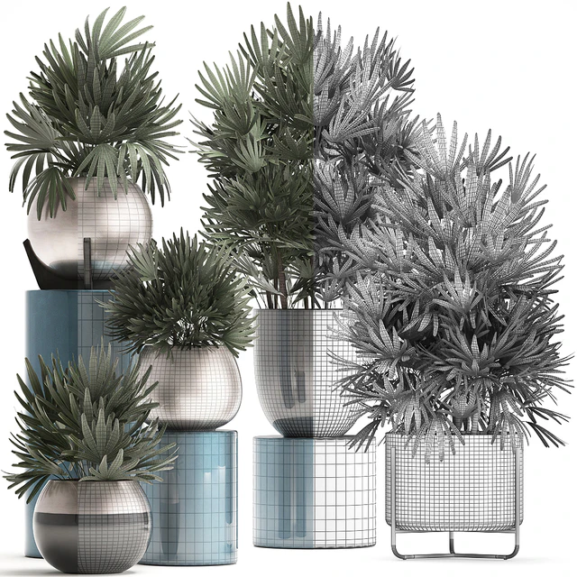 Plant collection 299. Interior palm tree, rapis, pot, flowerpot, luxury pot, bushes, thickets, Raphis Palm, stylish plants — Descargar