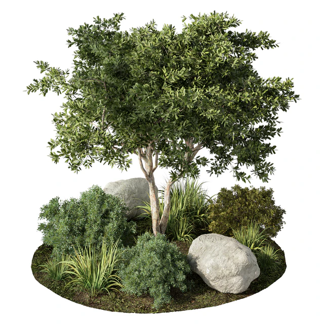 Outdoor Garden Plants Set.41 — Descargar