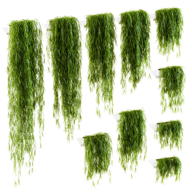 Plants on the shelves. 10 models — Descargar