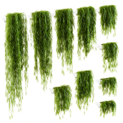 Plants on the shelves. 10 models — Ver 1