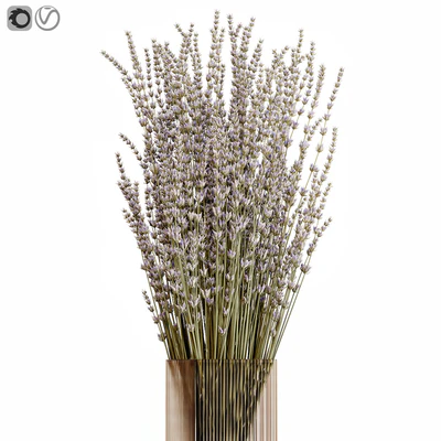 Dry flowers 5 lavender — Вид 3