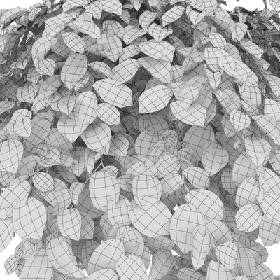 Elm — Вид 5