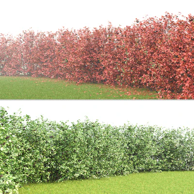 Rowan — Ver 3