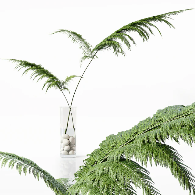 Collection Indoor Plants 058 — Descargar