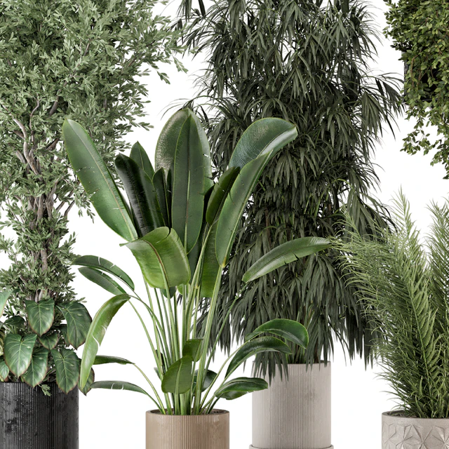 Indoor Plants in Ferm Living Bau Pot Large - Set 474 — Descargar