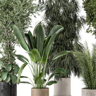 Indoor Plants in Ferm Living Bau Pot Large - Set 474 — Ver 6