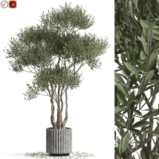 Plants collection 723 — Скачать