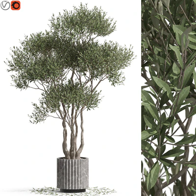 Plants collection 723 — Вид 1