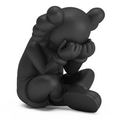 Kaws Separated — View 5