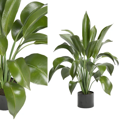 Indoor Plants in Ferm Living Bau Pot Large - Set 136 — Вид 1