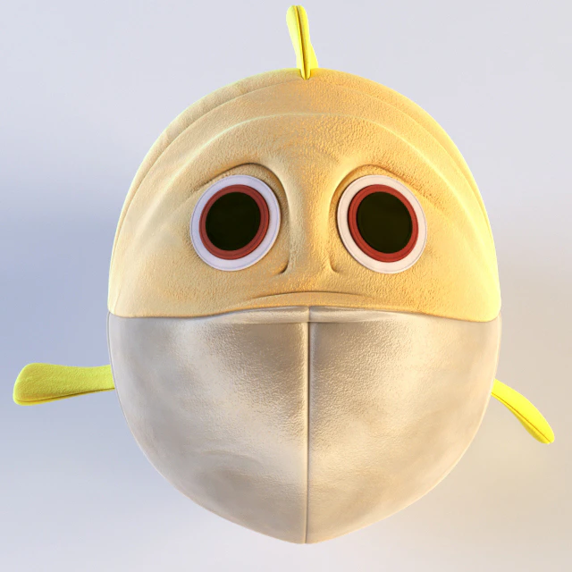 Fish toy — Скачать