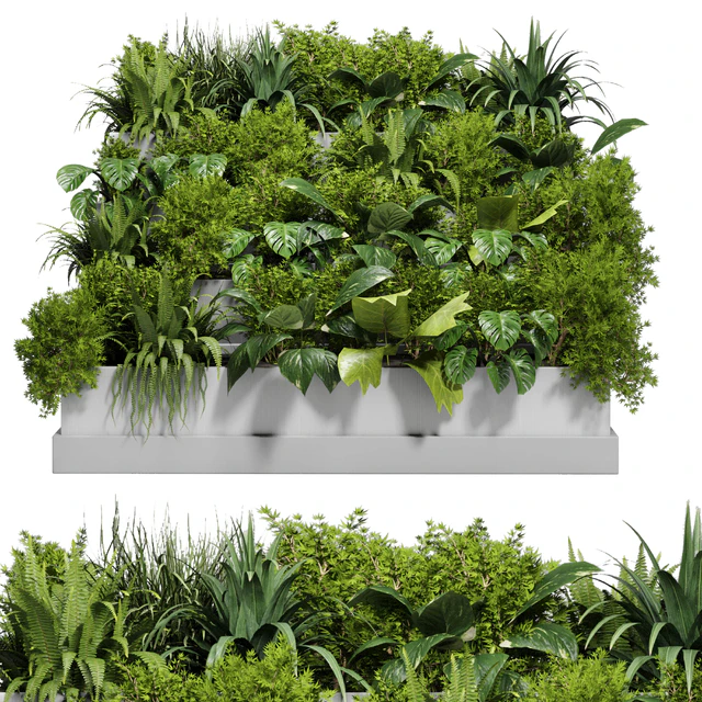 Stairs plant - Collection outdoor indoor plant 78 concrete vase pot fern bush grass — Descargar