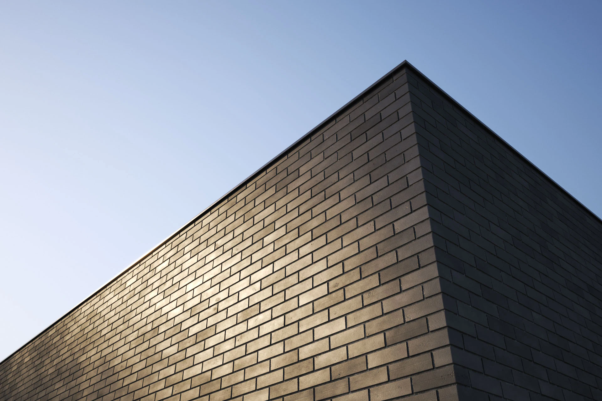brick 019 — Descargar