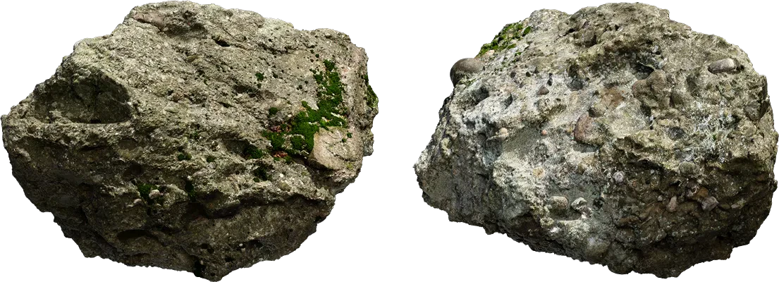 mossy forest rock 015 — Descargar