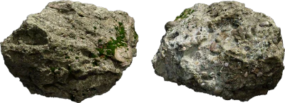 mossy forest rock 015 — Descargar