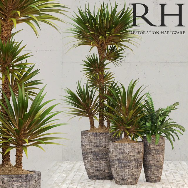 Restoration Hardware corso planter — Descargar