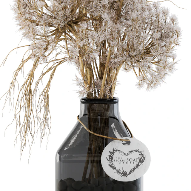 Dry plants 09 — Descargar