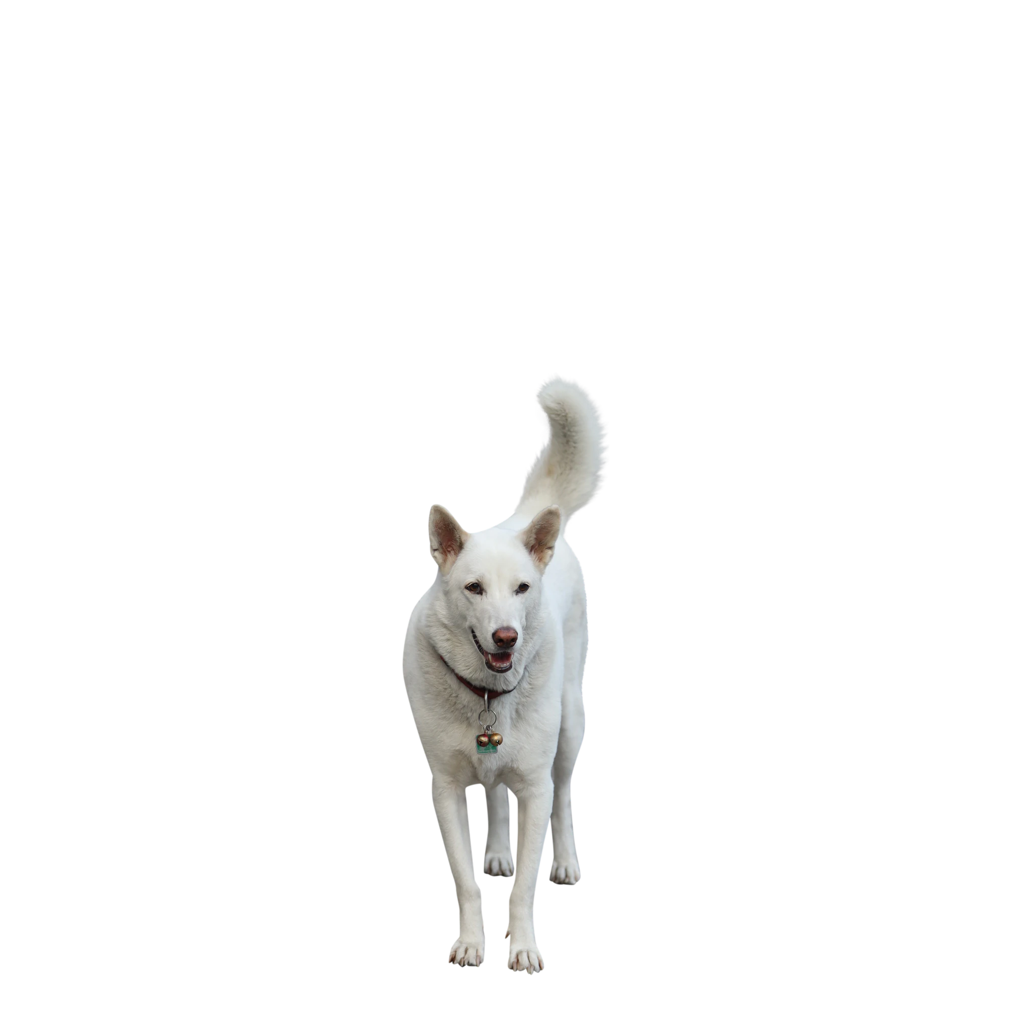 004 — Скачать