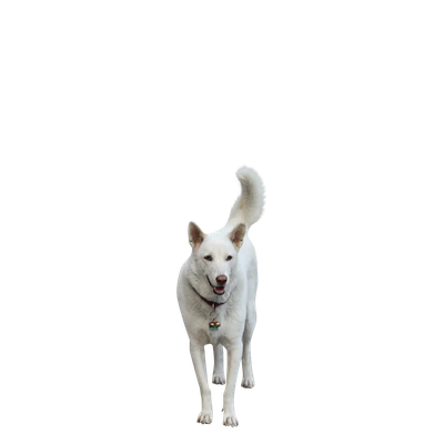 004 — Скачать