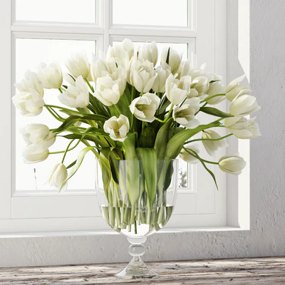 Tulips 3 — Вид 1