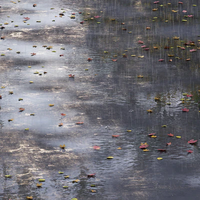 Autumn road with leaves and puddles — Ver 3
