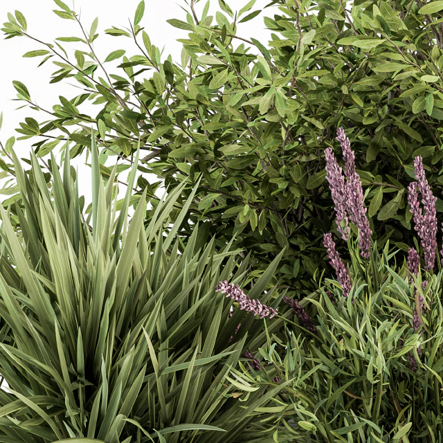 Mixed Plant Bush Green and Purple - Bush Set 50 — Descargar