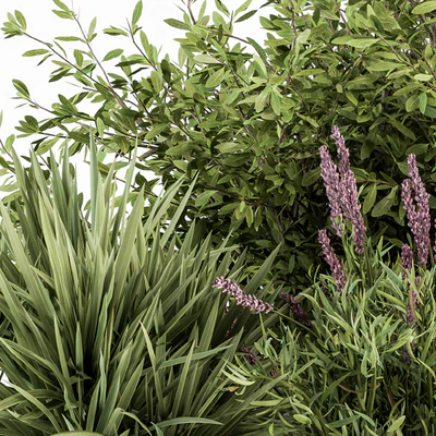 Mixed Plant Bush Green and Purple - Bush Set 50 — Ver 2