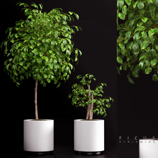 PLANTS 70 — Скачать