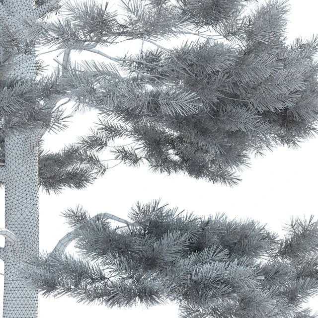 Pine — Скачать