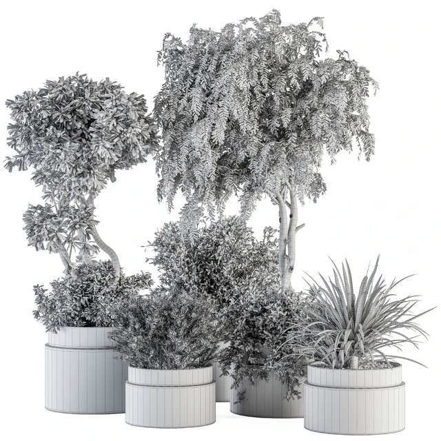 indoor Plant Set 341- Tree and Plant Set in Gray pot — Descargar